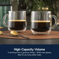 Double Wall Glass Mugs, Set of 2, 16.9oz/500ml